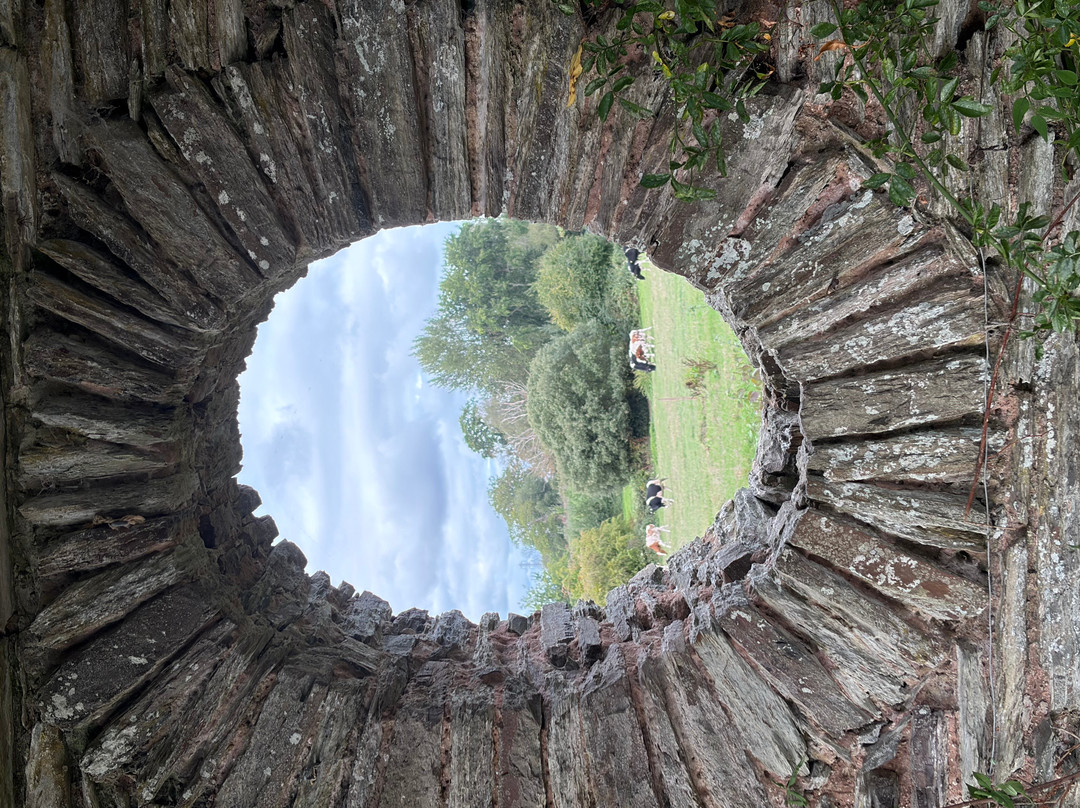 Hestercombe Gardens-汤顿必去景点