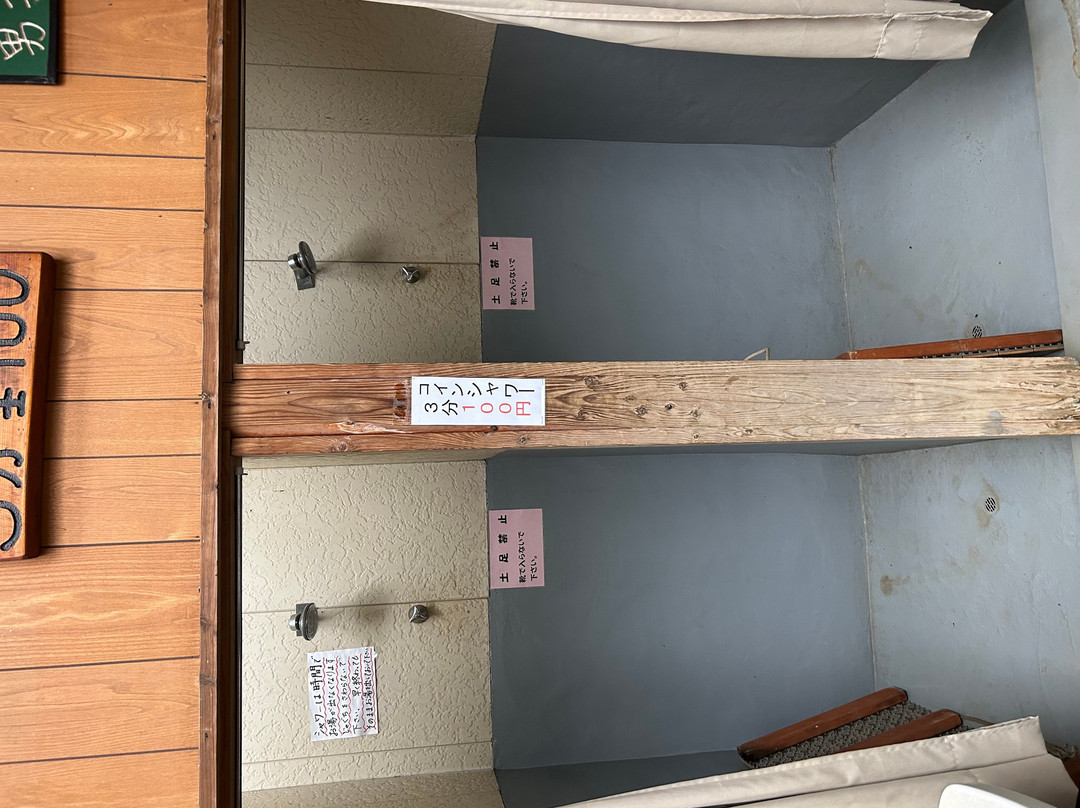 Arinomi Course-市川市必去景点