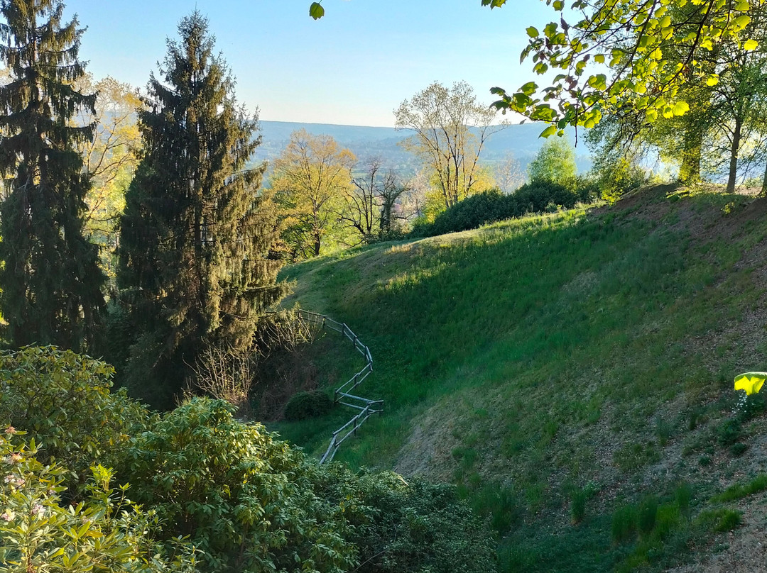 Parco della Burcina-Pollone必去景点