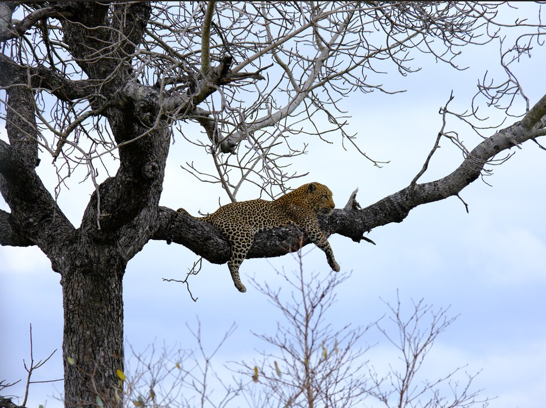 Wild Africa - Tours-班布里必去景点