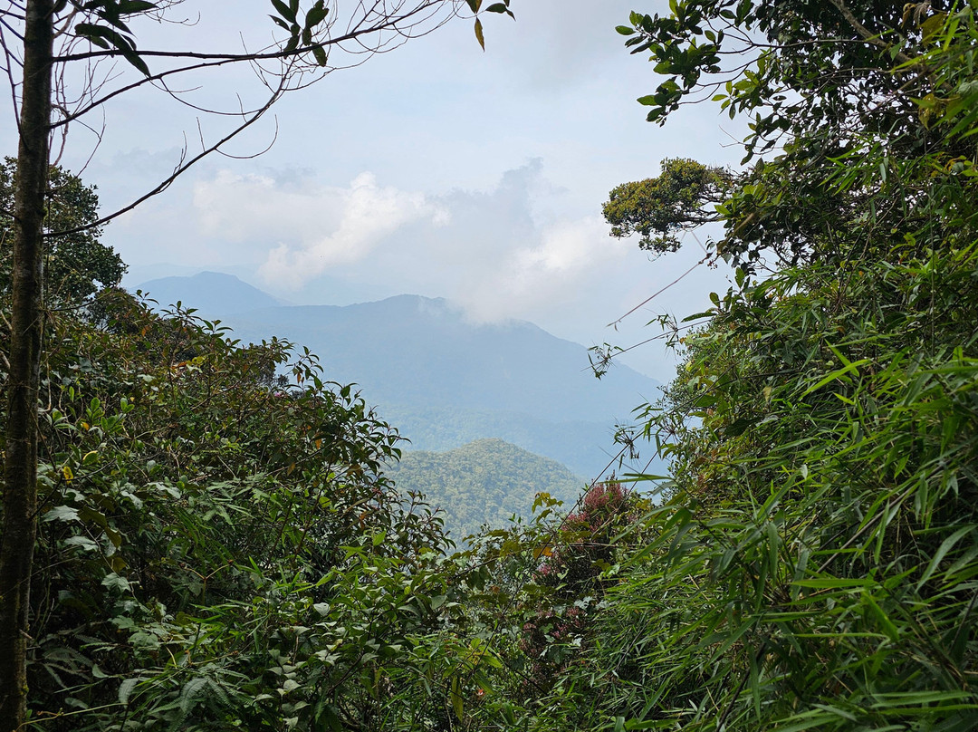 Mossy Forest Eco Park-碧兰璋必去景点