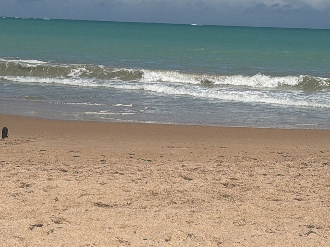 Maceió Mar Resort All Inclusive主图