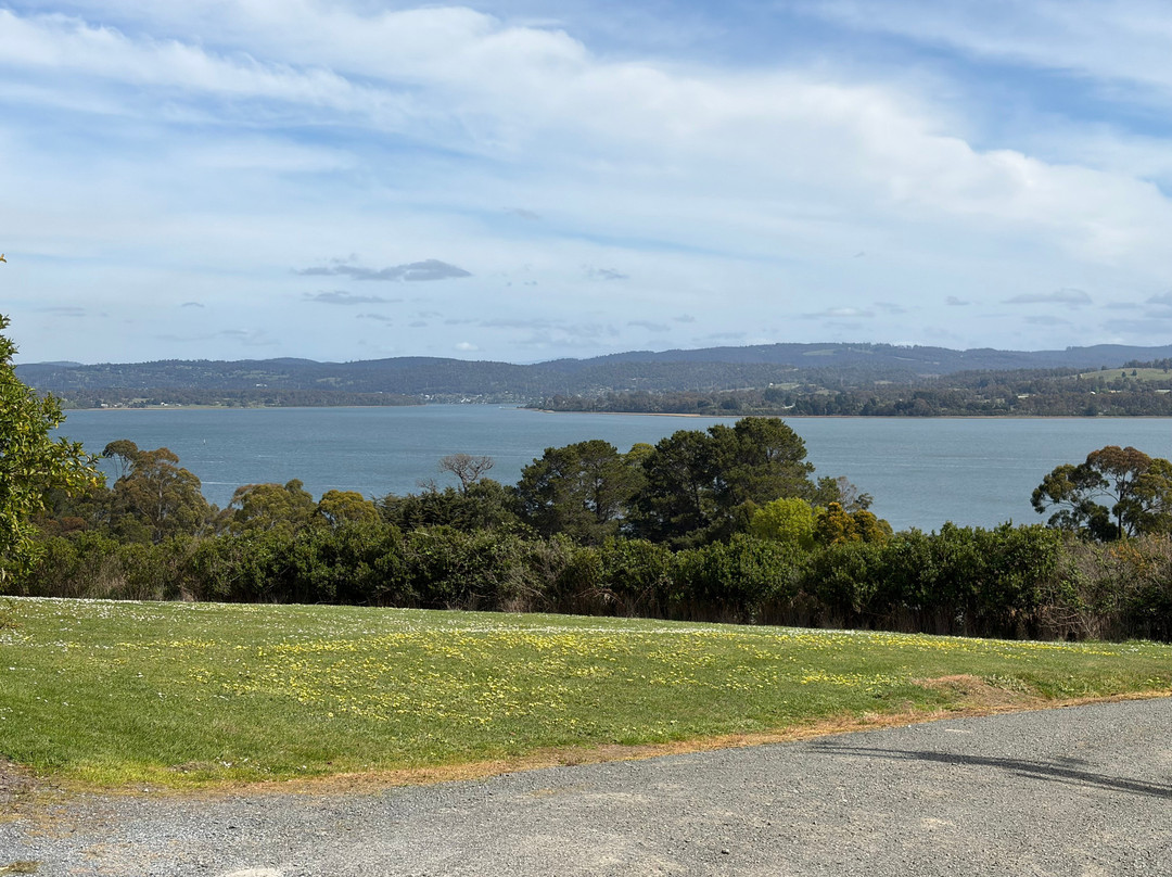 Hinton Bay Vineyard