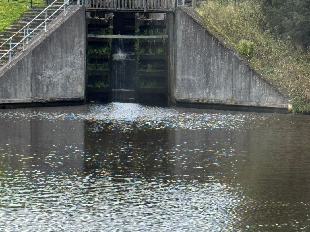 Falkirk Wheel-福尔柯克必去景点