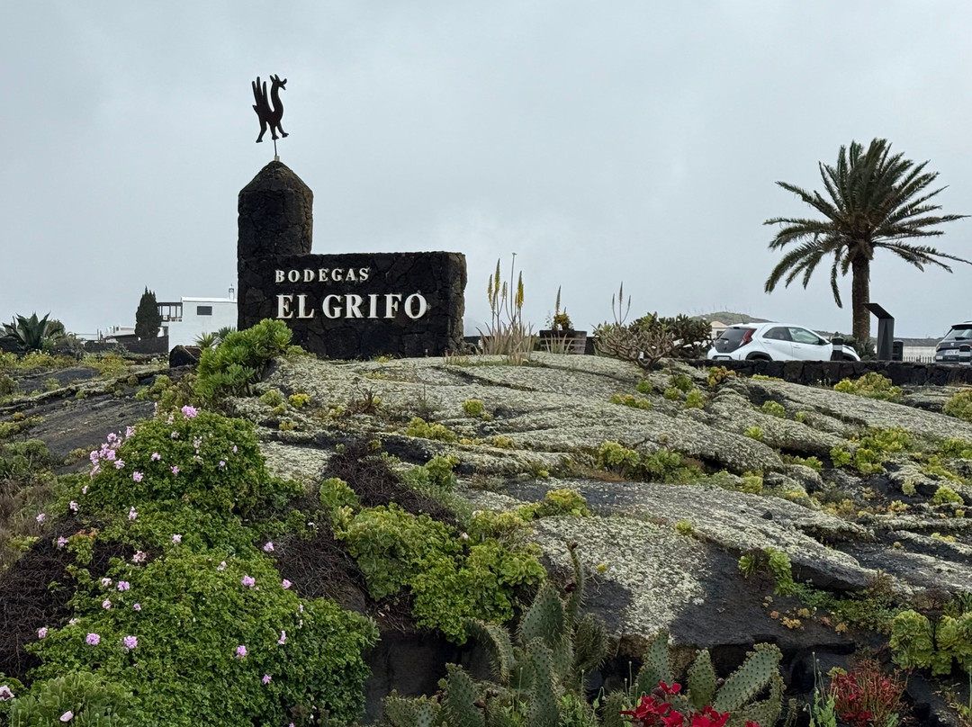 El Grifo - Museo del Vino-San Bartolome必去景点