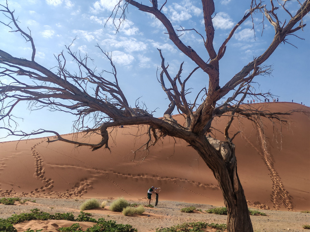 Sossusvlei-Namib-Naukluft Park必去景点
