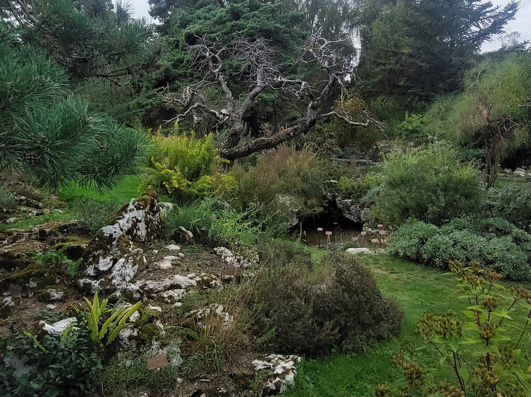 Jardin botanique de Genève-Pregny-Chambesy必去景点