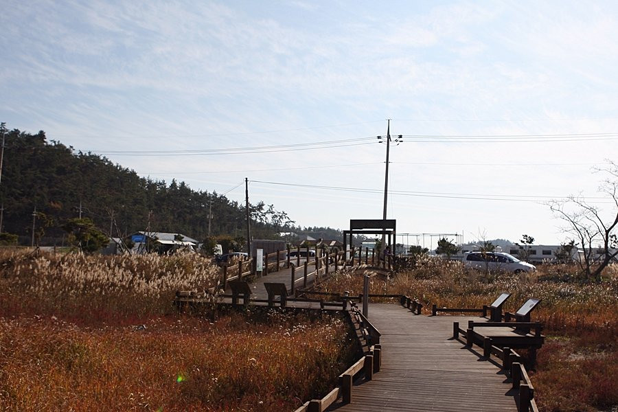 Taepyeong Yeomsaeng Botanical Garden
