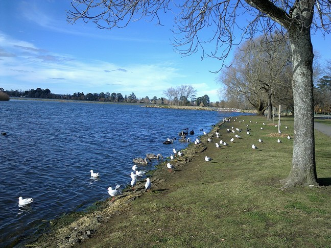 Lake Wendouree景点图片