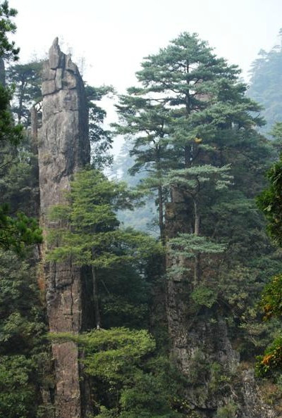 天鹅山国家森林公园景点图片