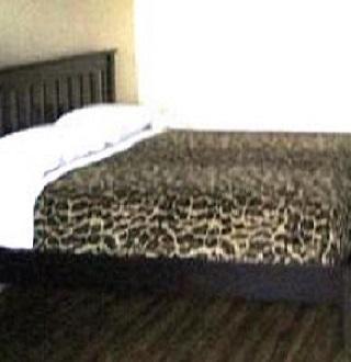 Friendship Inn Regal Lodge-客卧