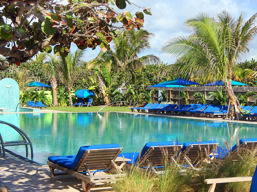 德拉海滩酒店住宿-Colony Hotel and Cabana Club