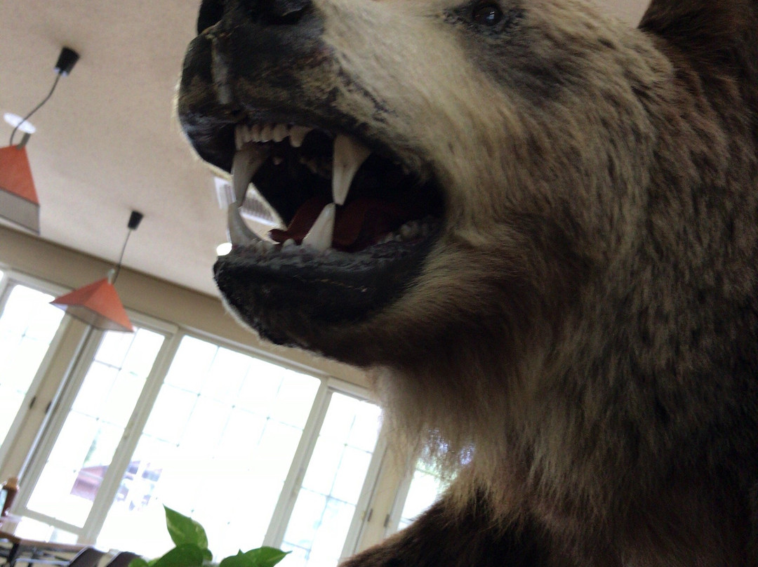 中顿别町酒店住宿-Pinneshirionsen Hotel Bogaksuo