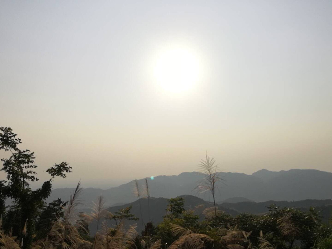 黑麋峰森林公园