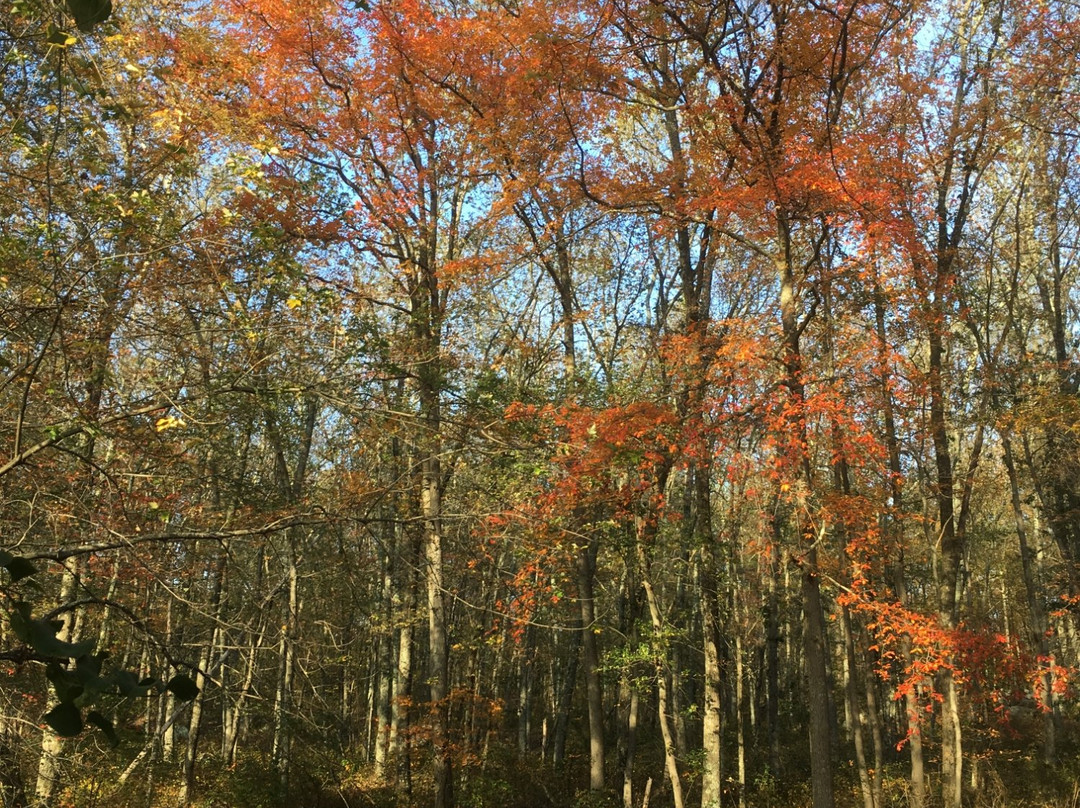 Johnston旅游景点-Snake Den State Park