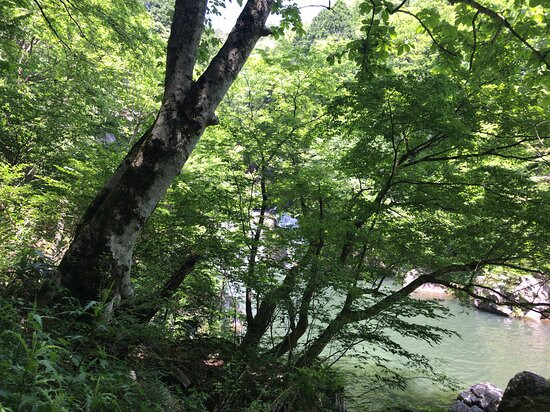Mitsudaki Falls景点图片
