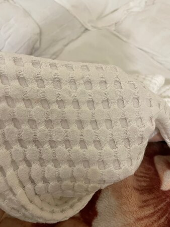 Nevskiye Zvezdy主图