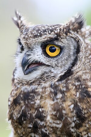 Animals in Wonderland-伊丽莎白港必去景点