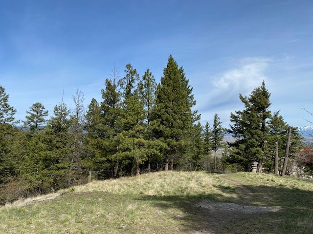 Lone Pine State Park-卡利斯佩尔必去景点