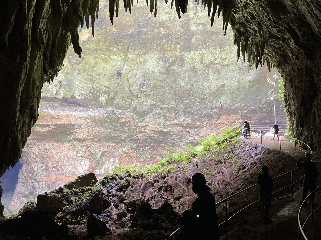Parque Nacional Cavernas del Rio Camuy Area de Acampar
