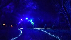 Winter Wonderfest-Milton必去景点