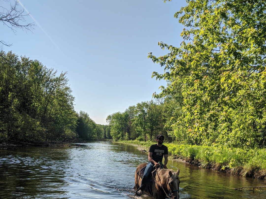 Rose Creek Horse Adventures
