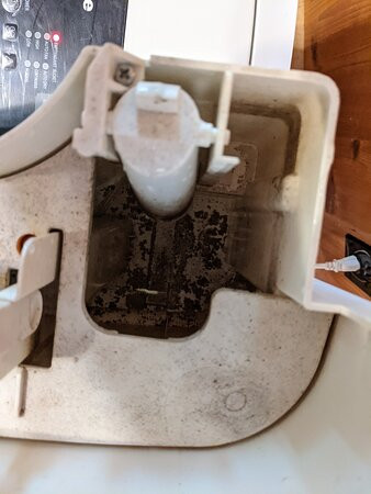 Forrest Hills Resort主图