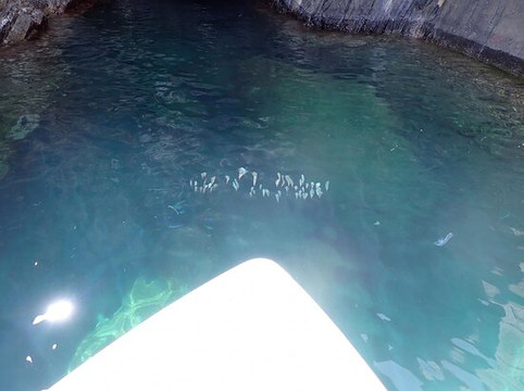 Charlie Mike Continue Mission Charters-圣 托马斯必去景点