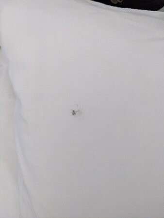 Holiday Inn Express Albuquerque N - Bernalillo by IHG主图