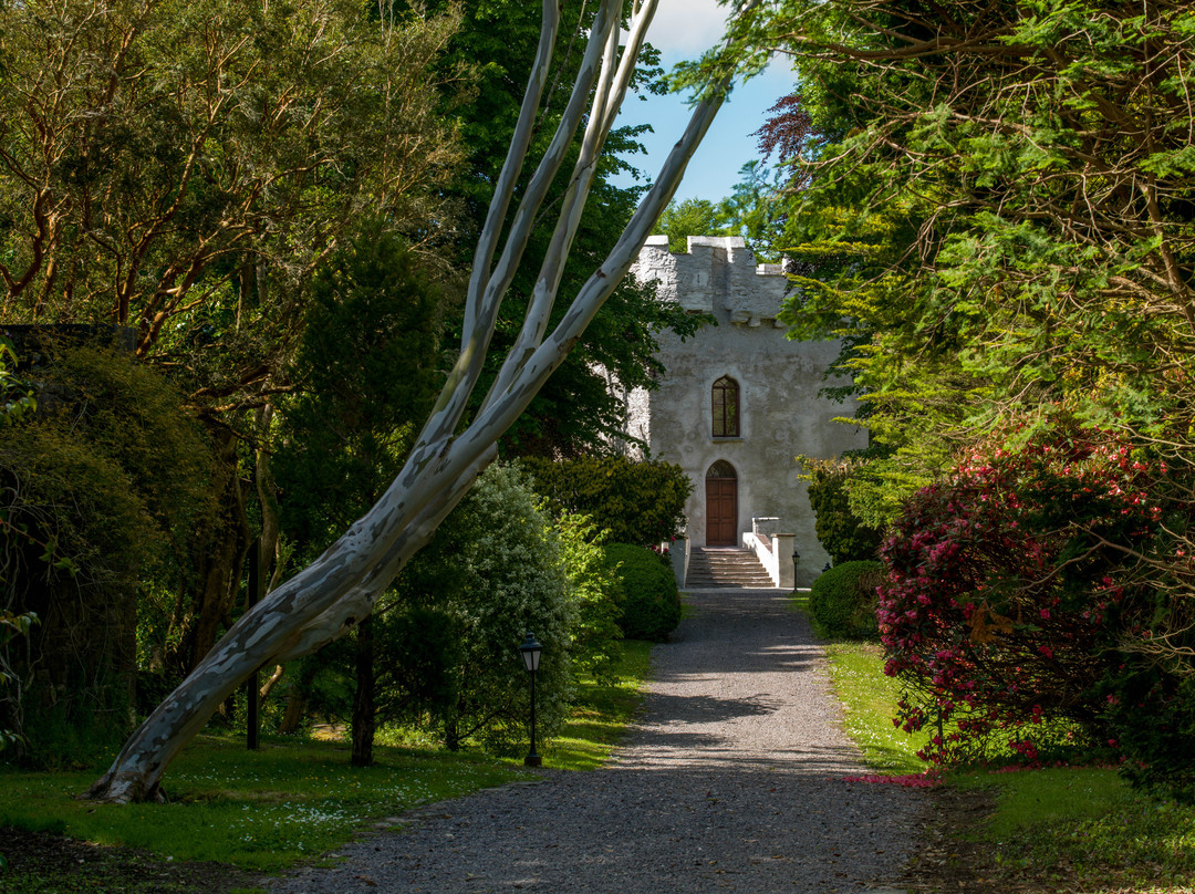Dunloe Castle Gardens景点图片