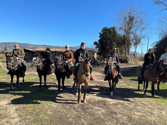Cabalgatas Valle de Colchagua-圣克鲁斯必去景点