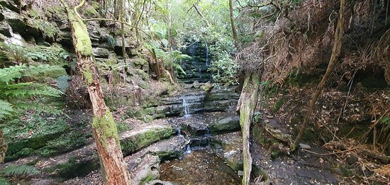 Myrtle Gully Aka Oates Falls景点图片