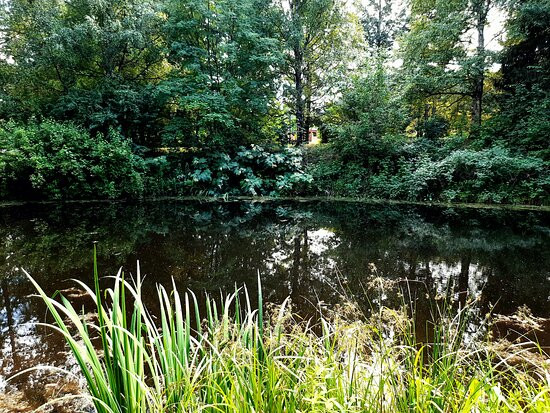 Pereslavskiy Arboretum Named After S.F. Kharitonov景点图片