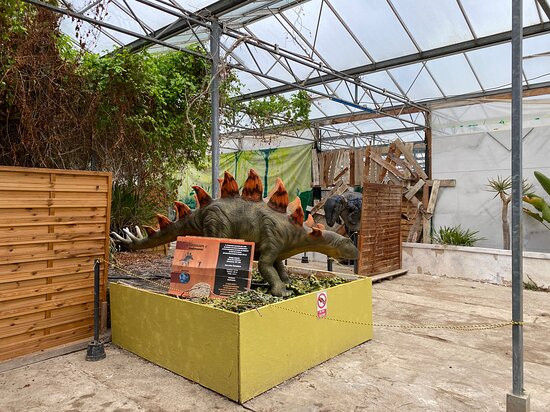 Dinosarium景点图片