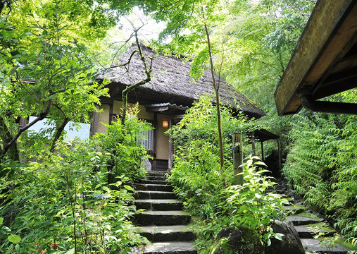 忘怀乡 雅叙苑主图