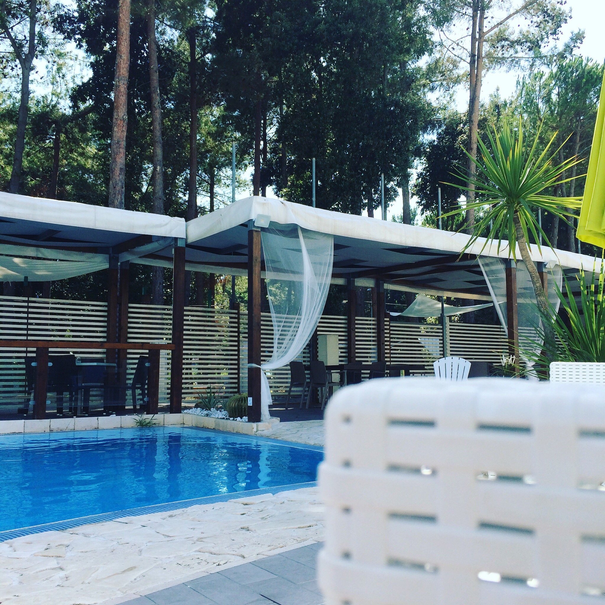 B&B Bianco Pineta-官方