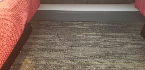 Hampton Inn & Suites Mount Laurel/Moorestown主图