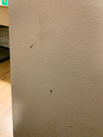 Red Roof Inn Kalamazoo West Western Michigan U主图