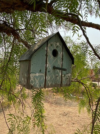 San Miguel Olive Farm景点图片