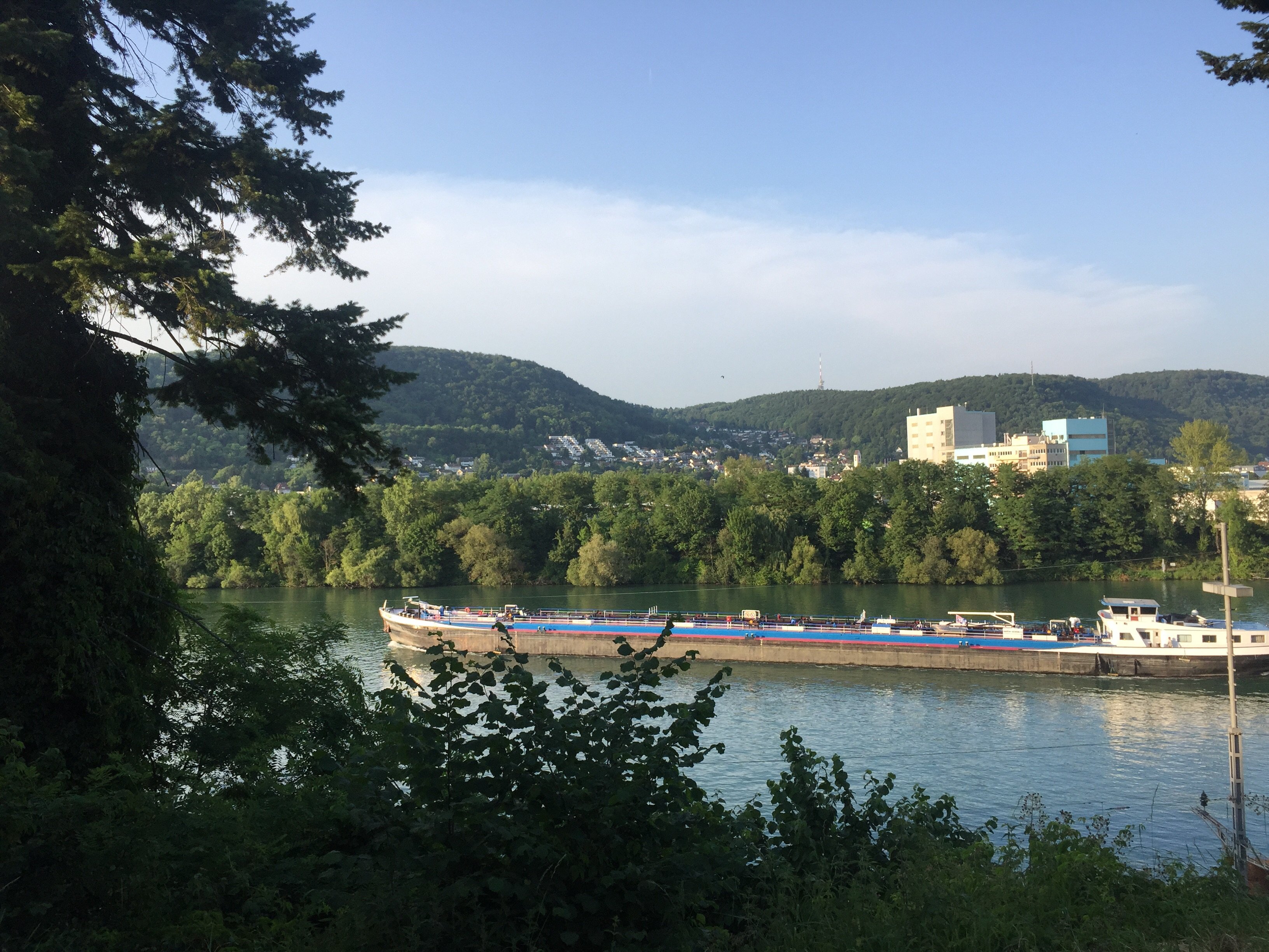 Hotel Waldhaus Beider Basel-官方
