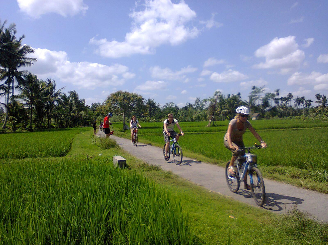 Lombok Rise - Day Tours景点图片