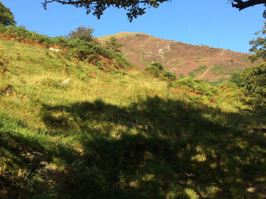 Hafod y Llan Campsite