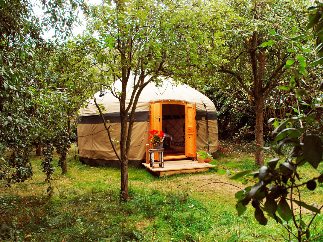 Stamford Meadows Glamping