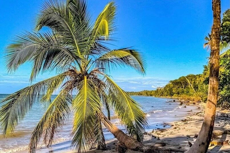 Caribbean Coastering Tours