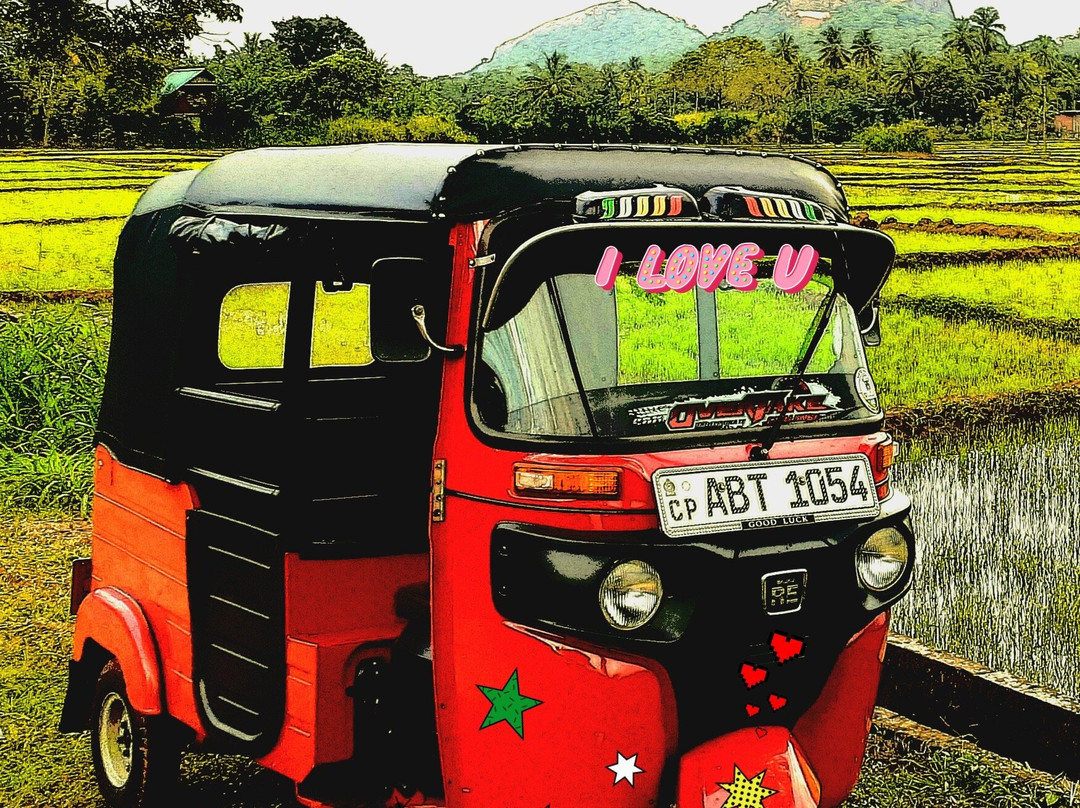 Tuktuk in Sigiriya, sightseeing