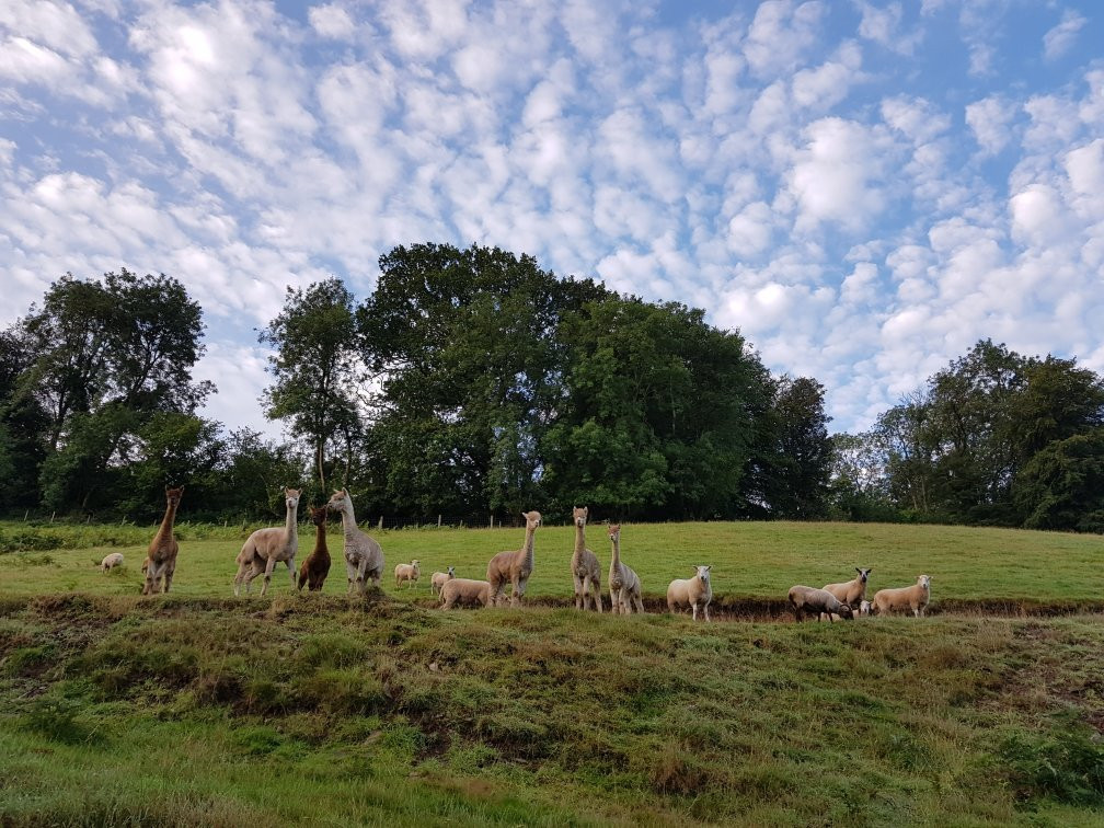 Exmoor Gate Lodges