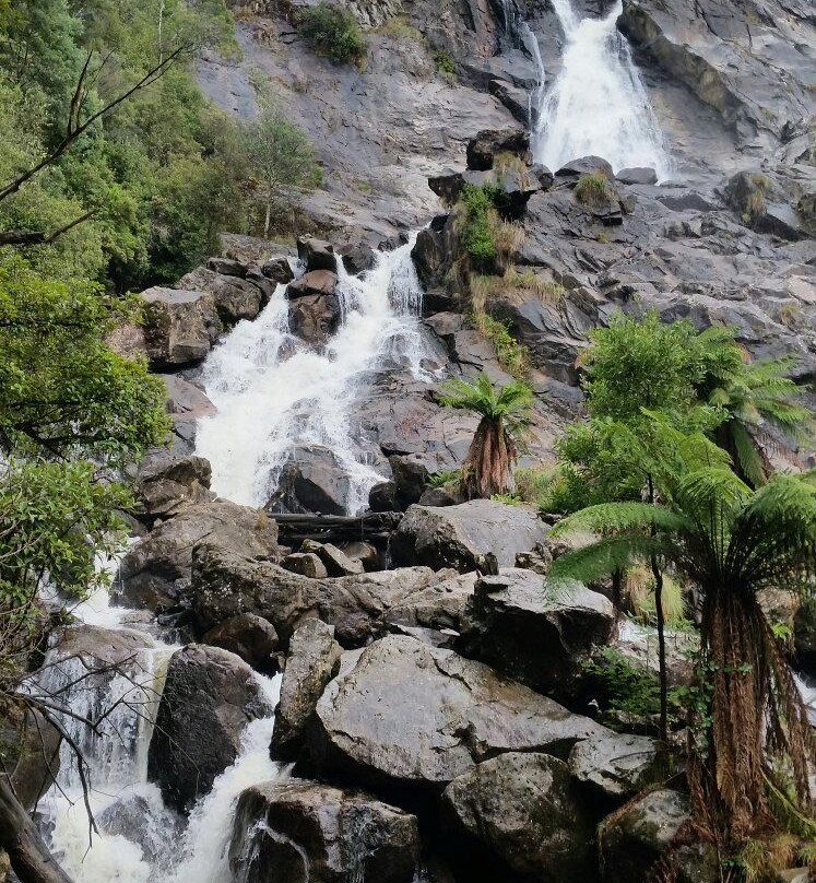 Scamander on the Beach主图