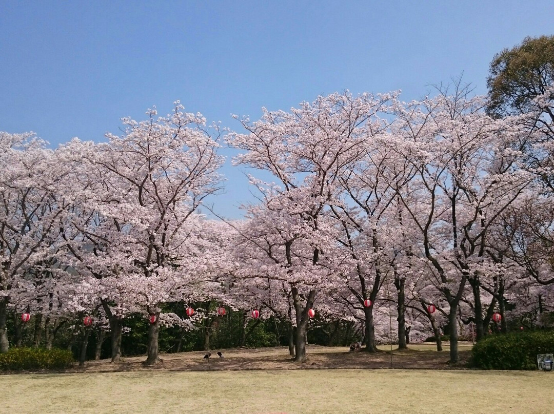 加东市旅游景点-Harima Central Park