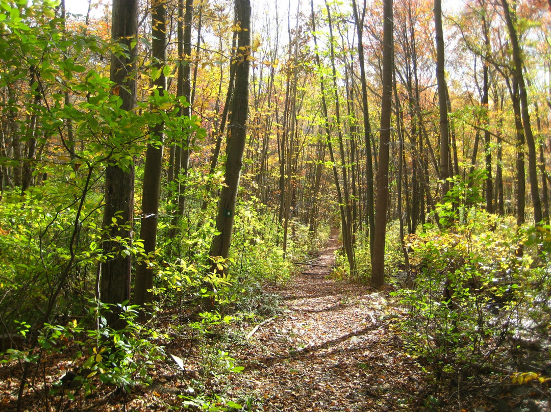 Ansonia Nature & Recreation Center景点图片