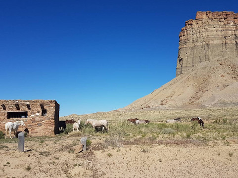 Towaoc旅游攻略图片